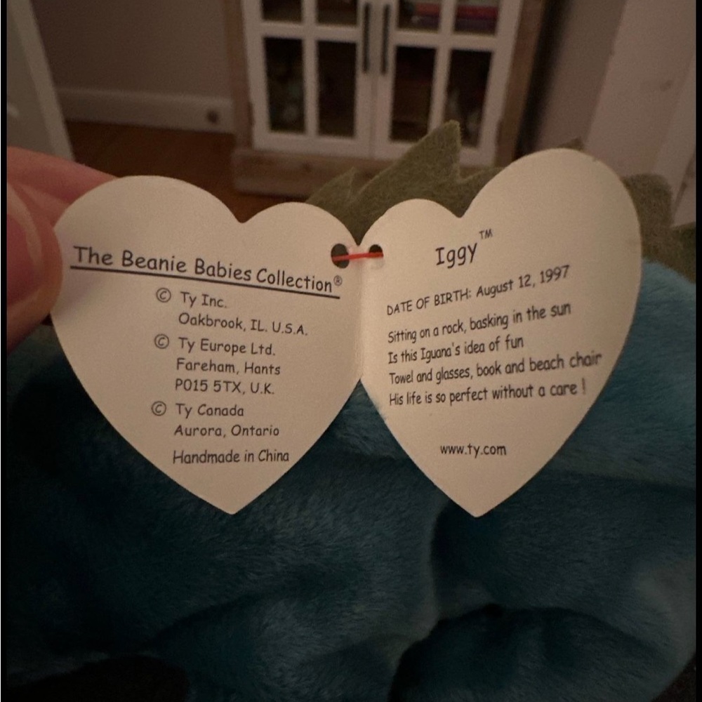 Beanie Babies | Iggy